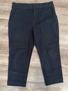 Everlane Cropped Chinos